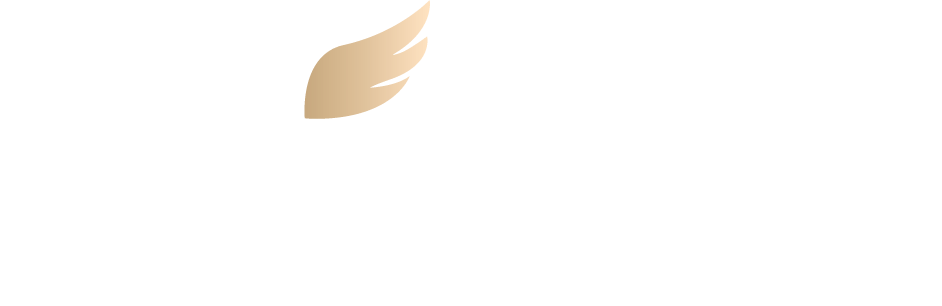 Eagle Systems Logo